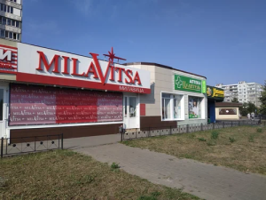 Оскол, Старый Оскол, микрорайон Жукова, 29